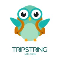 Trip Strings
